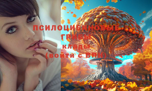 экстази Беломорск