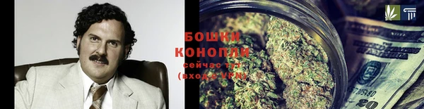 эйфоретик Белокуриха