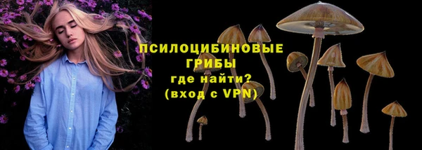 эйфоретик Белокуриха