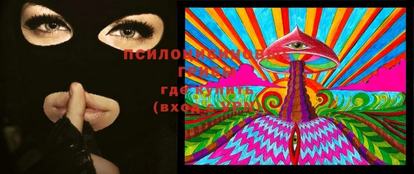 эйфоретик Белокуриха